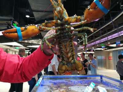 走馬觀花十里堡盒馬，新零售的水產品長啥樣？