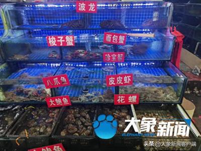 多漲了三五塊！'雙節'前河南水產價格小幅上漲