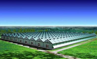 鄉村振興中的上億元農業扶持資金 申報條件與投資核心解析