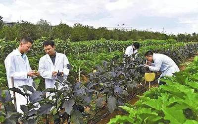理性看待農業投資熱 警惕“熱投資、冷農民”現象